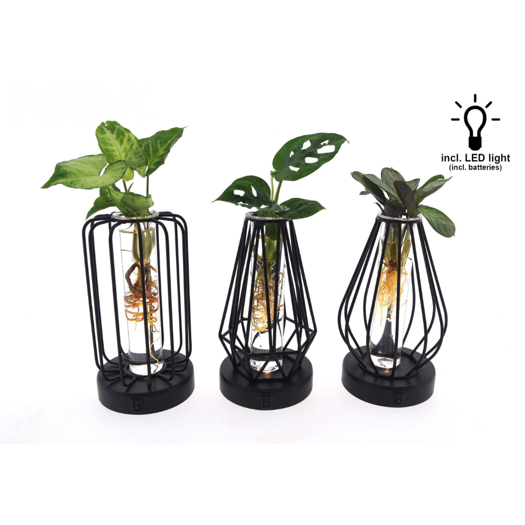 Mix in Turijn Glas + Led - 3 stuks - Ø7cm - ↕20cm