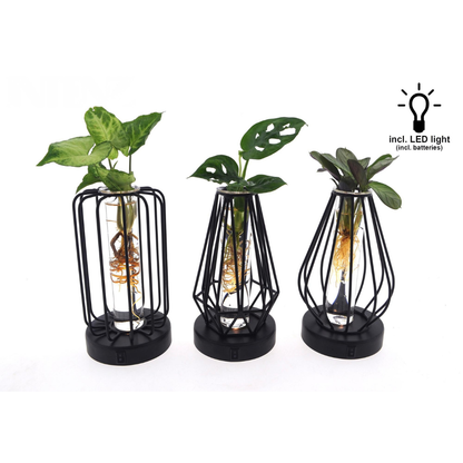 Mix in Turijn Glas + Led - 3 stuks - Ø7cm - ↕20cm