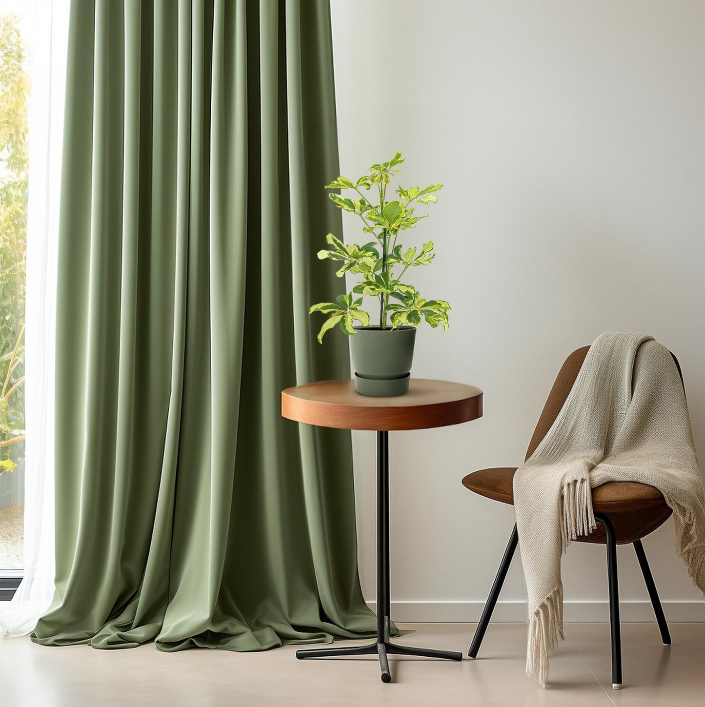 Schefflera Charlotte - Ø13cm - ↕45cm