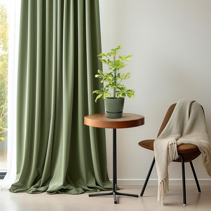 Schefflera Charlotte - Ø13cm - ↕45cm