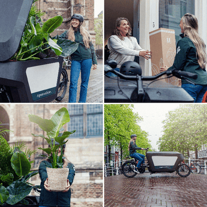 Verrassingsbox - Ø12cm - ↕25cm - x5