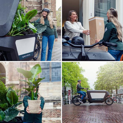 Verrassingsbox - Ø12cm - ↕25cm - x8